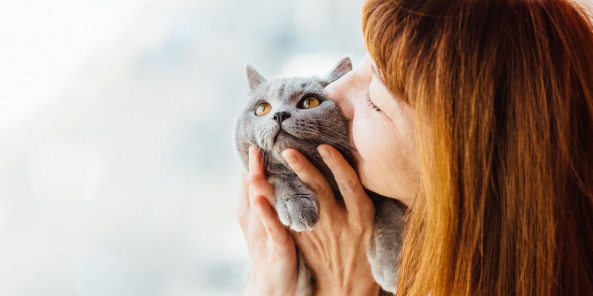 An image capturing a heartwarming moment of a person kissing their cat.