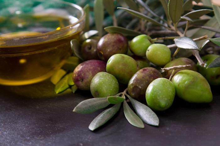 aceitunas frutas y aceite de oliva