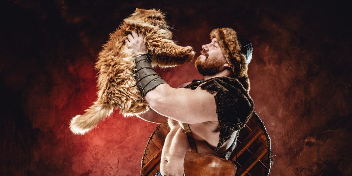 viking warrior with cat