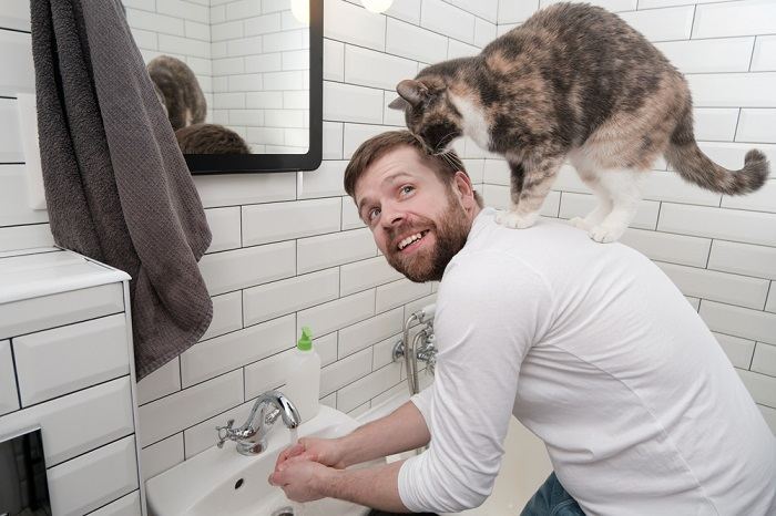 washing hand and cat
