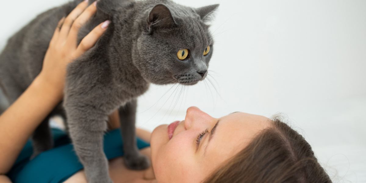 woman holding her British shorthair cat