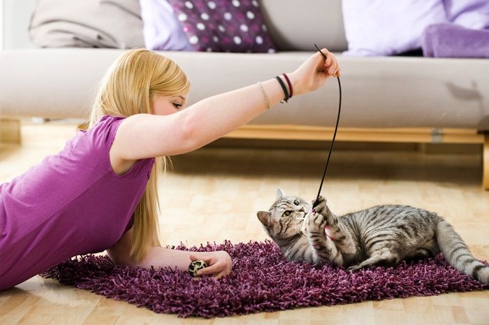 woman playing with cat