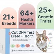 Image showcasing The 5 Best Cat DNA Tests: We Tried Them All - Cats.com