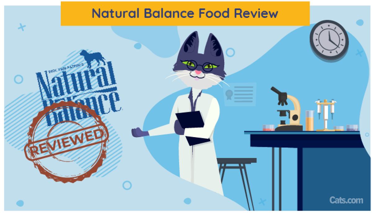 Unbiased Natural Balance Cat Food Review In 2024 - Cats.com