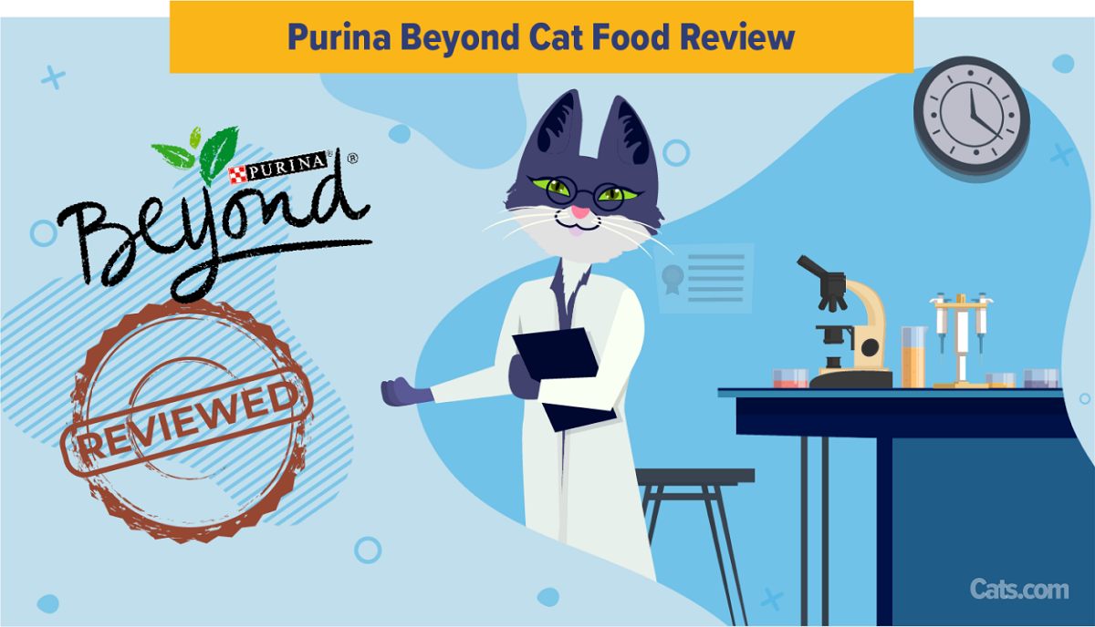Pure Harmony Cat Food Review  : Unbiased Analysis