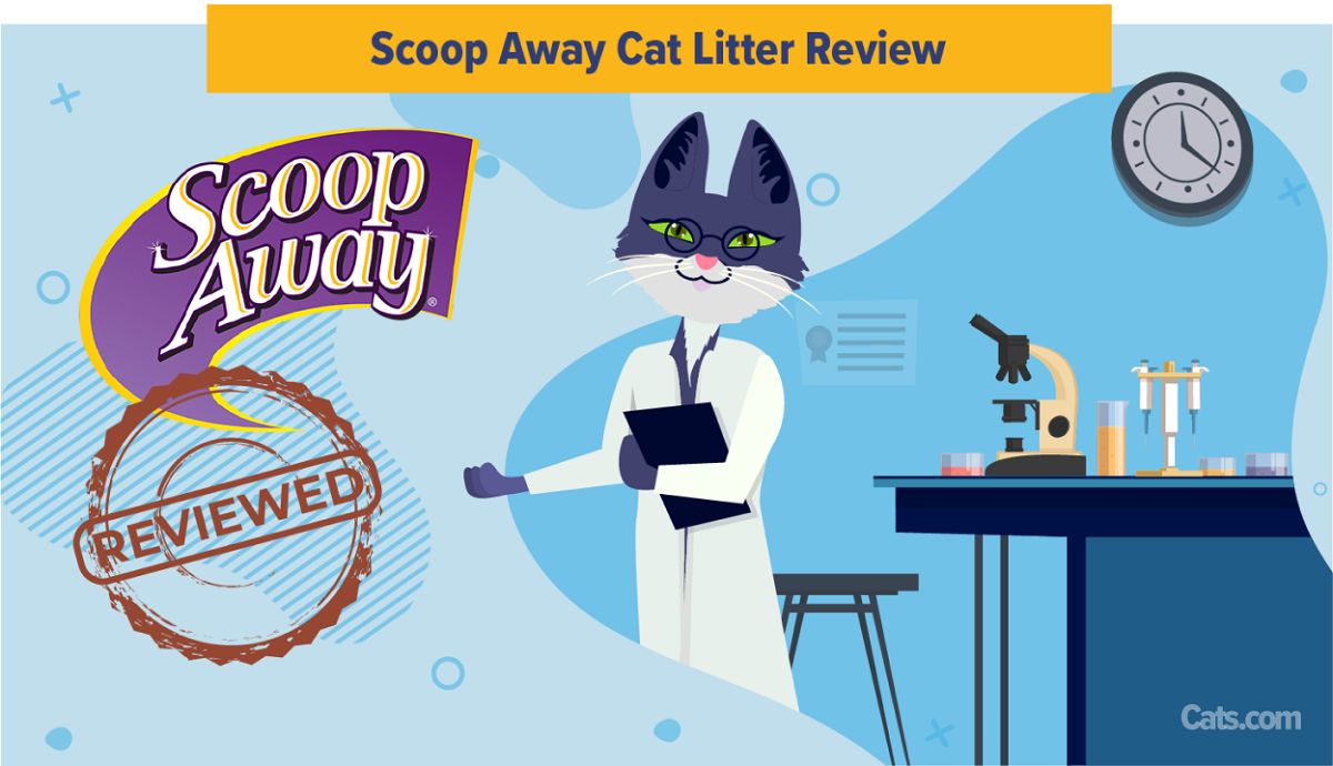 Scoop Away Cat Litter featured image