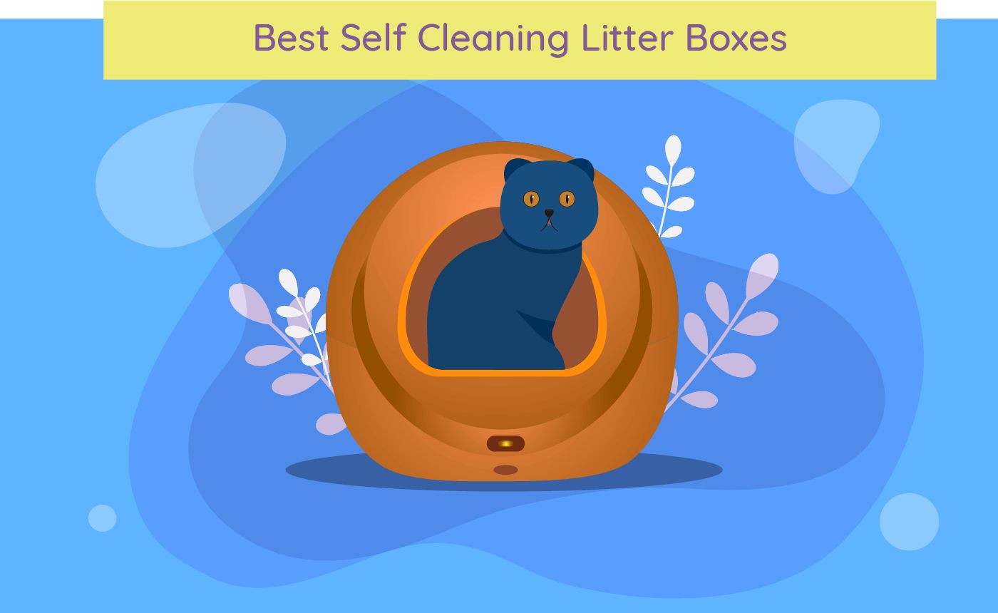 Illustration of Best Self-Cleaning Litter Boxes