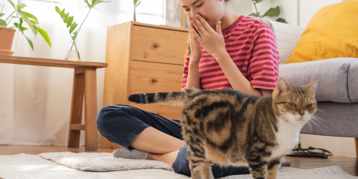 Smelly Cat, Smelly Cat - Causes of Feline Odors