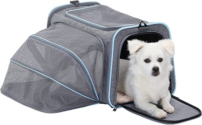 Petsfit Expandable Airline Approved Soft-Sided Cat Carrier