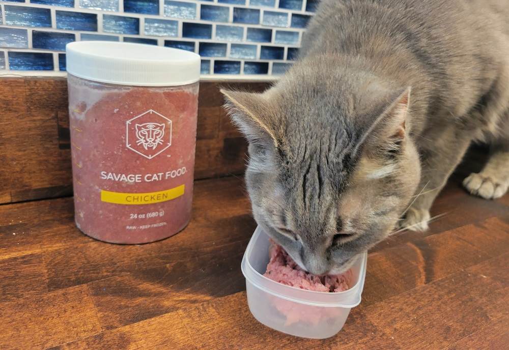 Savage Cat Food has a finely ground texture that is easy for older cats to chew. 