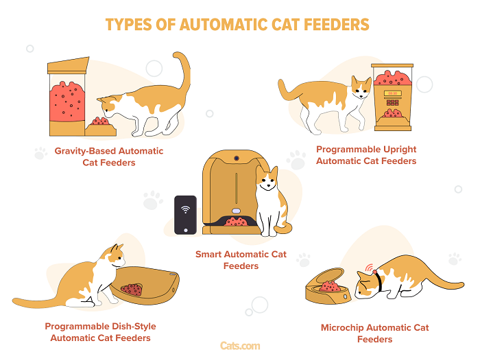 Illustration of the Top 5 Types Of Automatic Cat Feeders
