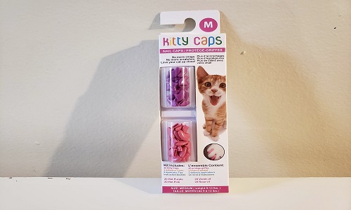 The 5 Best Nail Caps For Cats—We Tested Them All In 2023 