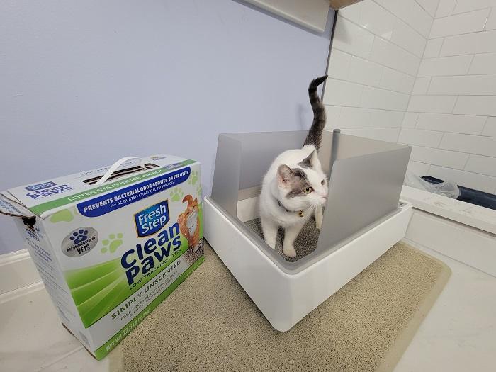 The 6 Best Cat Litters of 2023, Tested and Reviewed