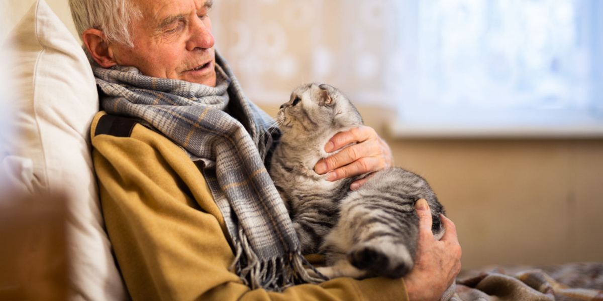 An image featuring an older gray-haired man in a cozy sweater holding a Scottish Fold cat.