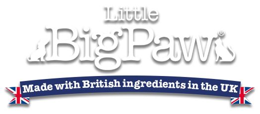 ​Little BigPaw logo