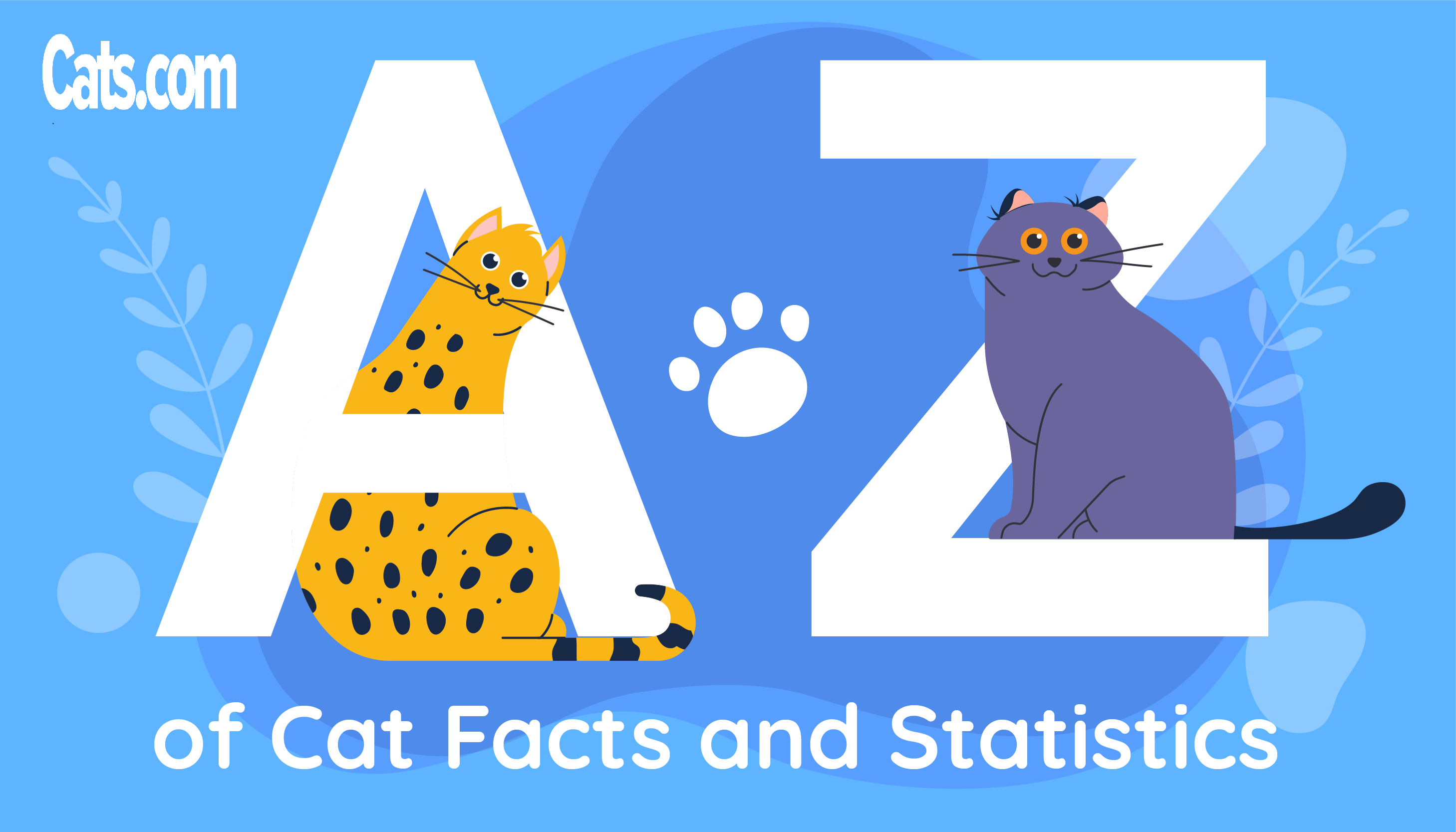 A-Z of Cat Facts and Statistics