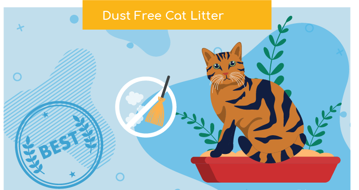 Best Dust Free Cat Litter