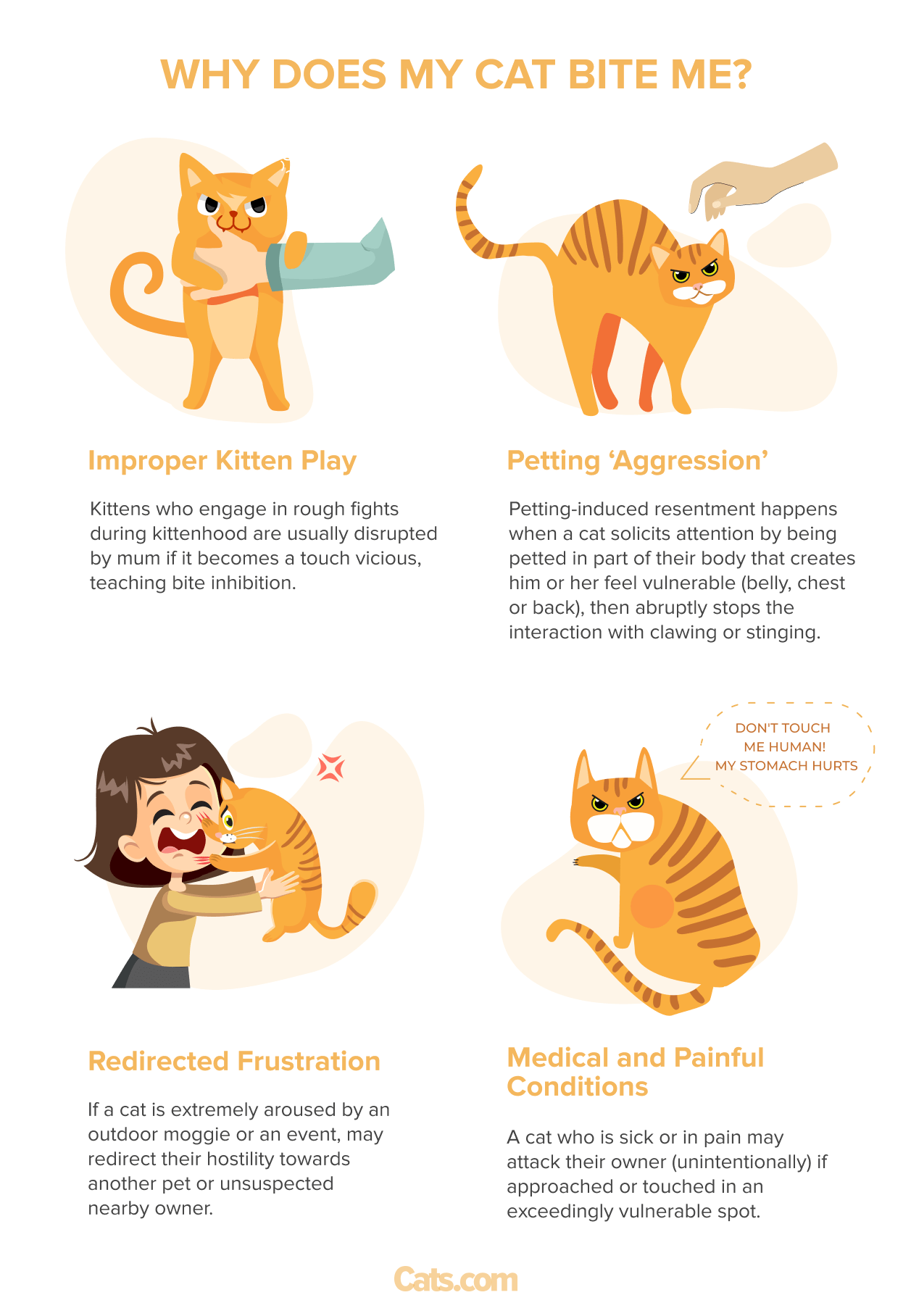 An image accompanying the question 'Why Does My Cat Bite Me?