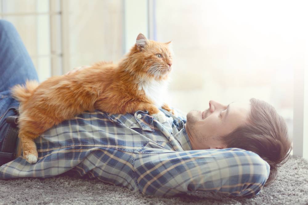 Young man with cute cat lying on floor