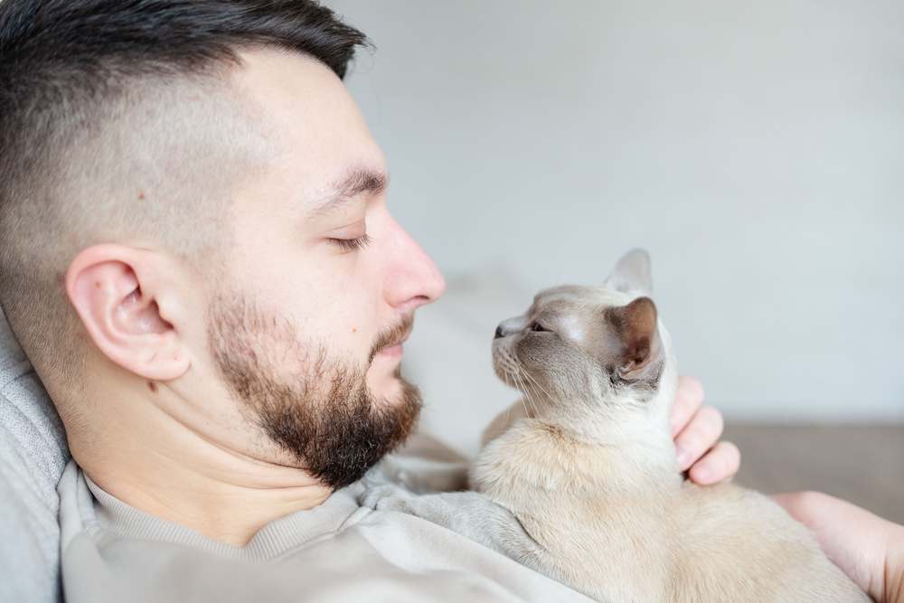 cute cat with close eyes and bearded guy