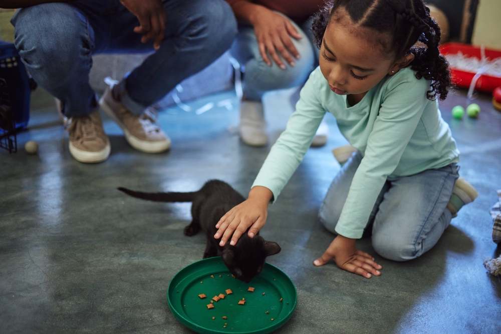  girl feeding kitten in pet shelter