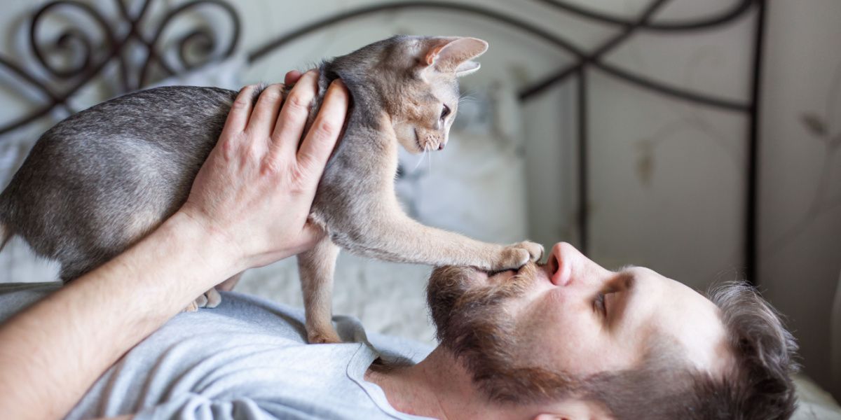 Man playing with his grey cat on a bed.