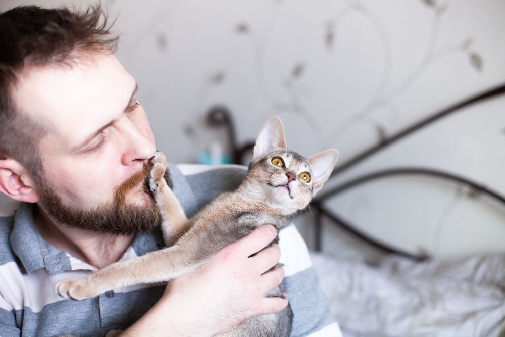 Cat with paw on a man's face.