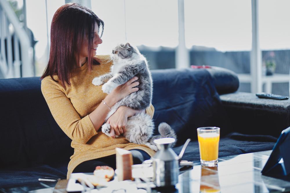 woman having breakfast with her cat