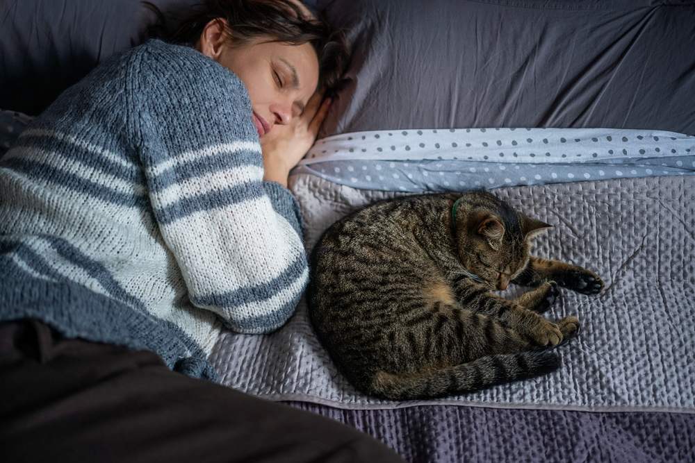 woman in a sweater sleeping on a bed next to a gray cat