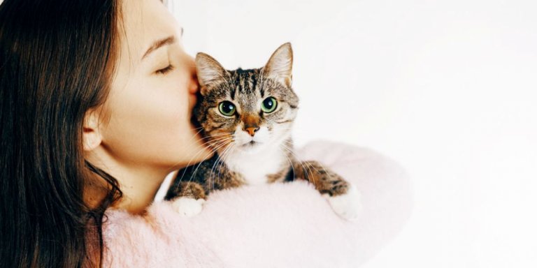 Visual Reference: How To Make A Cat Feel Safe In 10 Simple