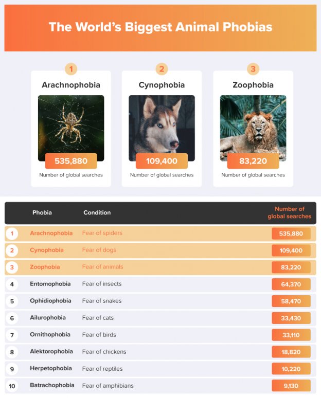 The World's Biggest Phobias - Cats.com