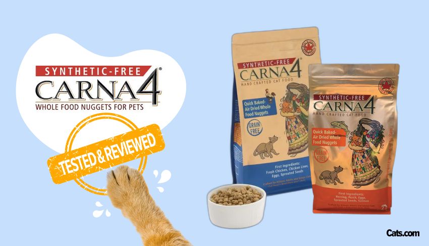Carna4 Cat Food Brand Review
