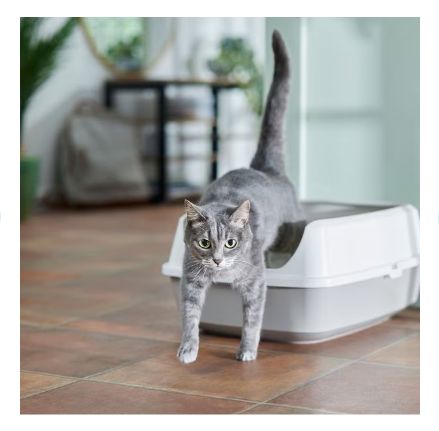 Frisco open top cat shop litter box with rim