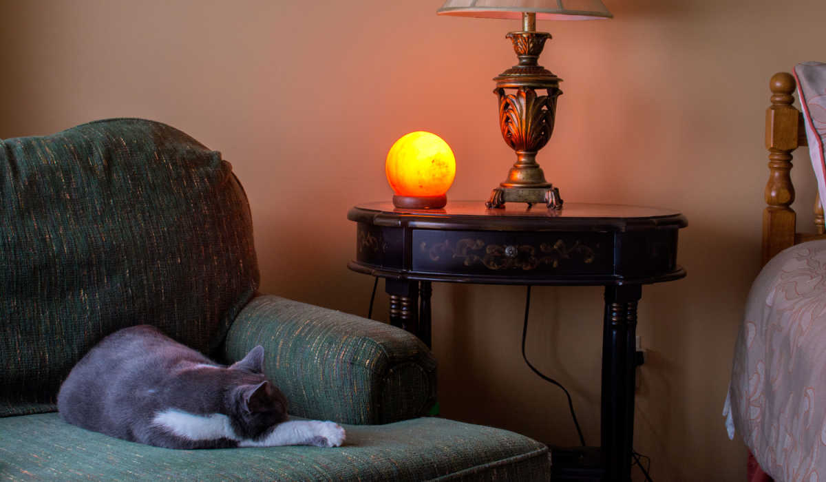 A cat peacefully sleeping beside a Himalayan salt lamp, capturing a serene and cozy moment in a soothing atmosphere.