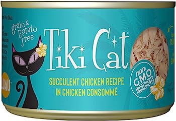 Best cat food 2024 for picky cats