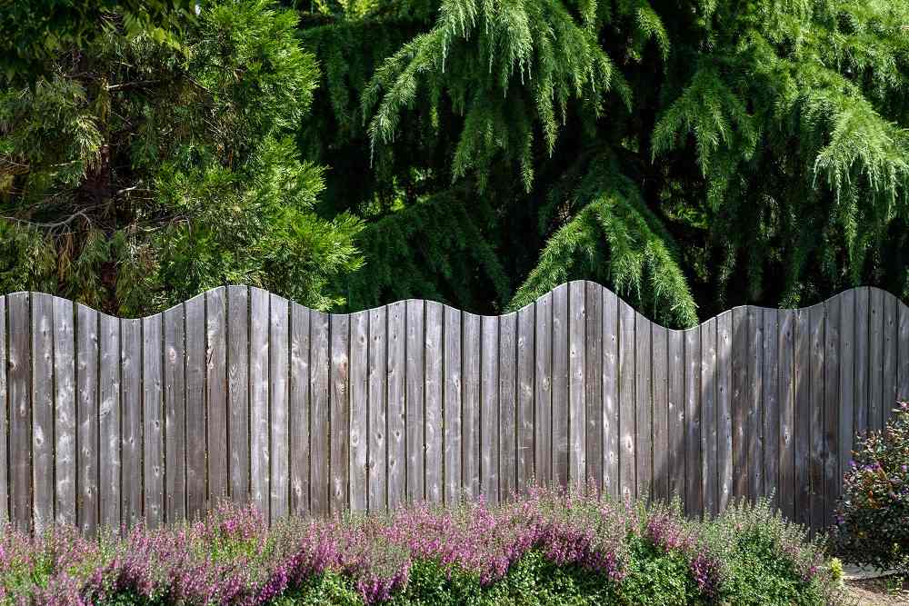 Curved top fence