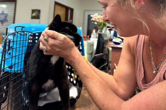 Woman Reunites With Lost Cat After 10 Years