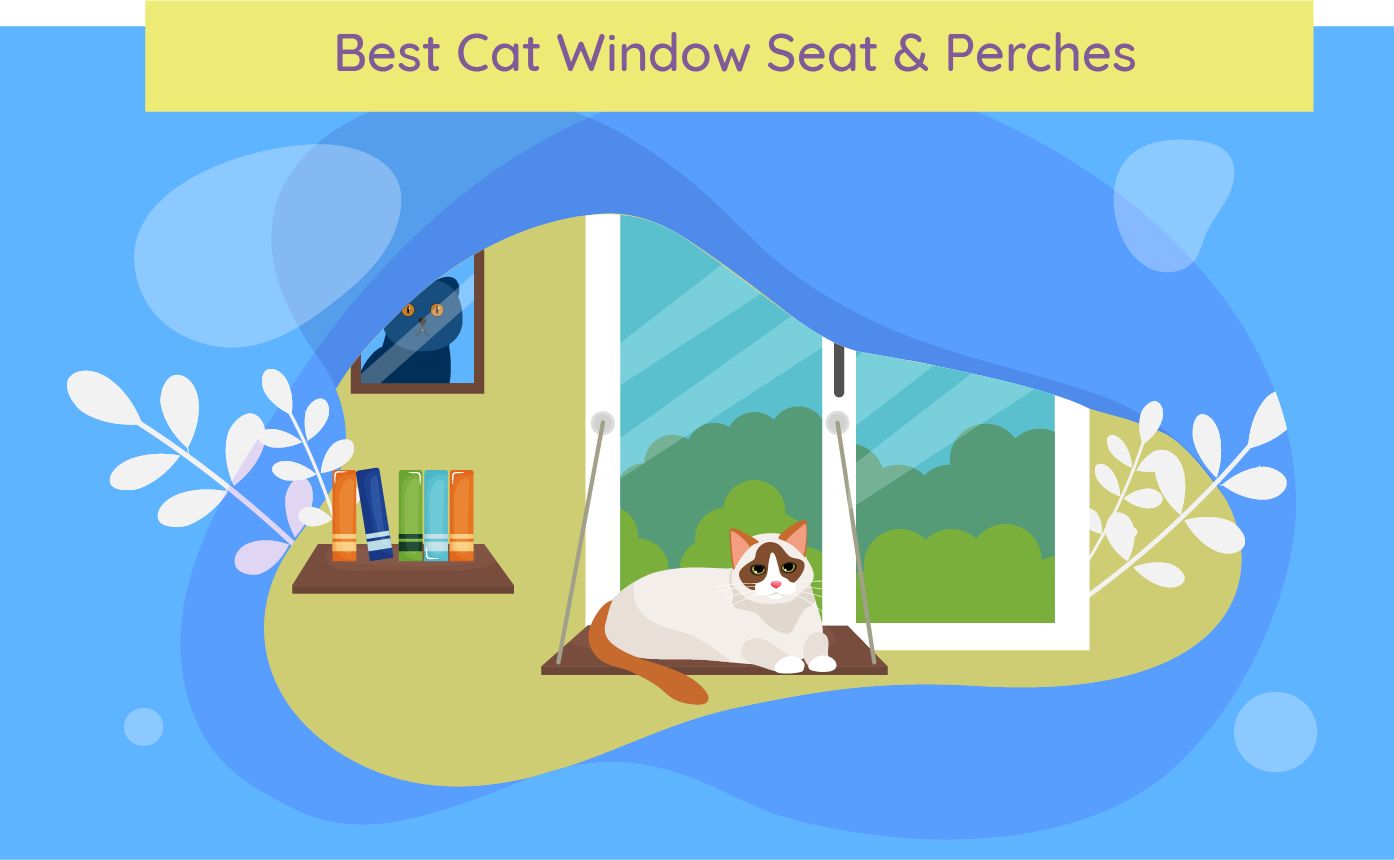 best cat windows and perches