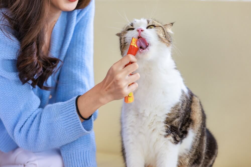 cat lick treats