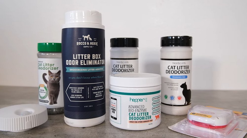 Best Cat Litter Deodorizers