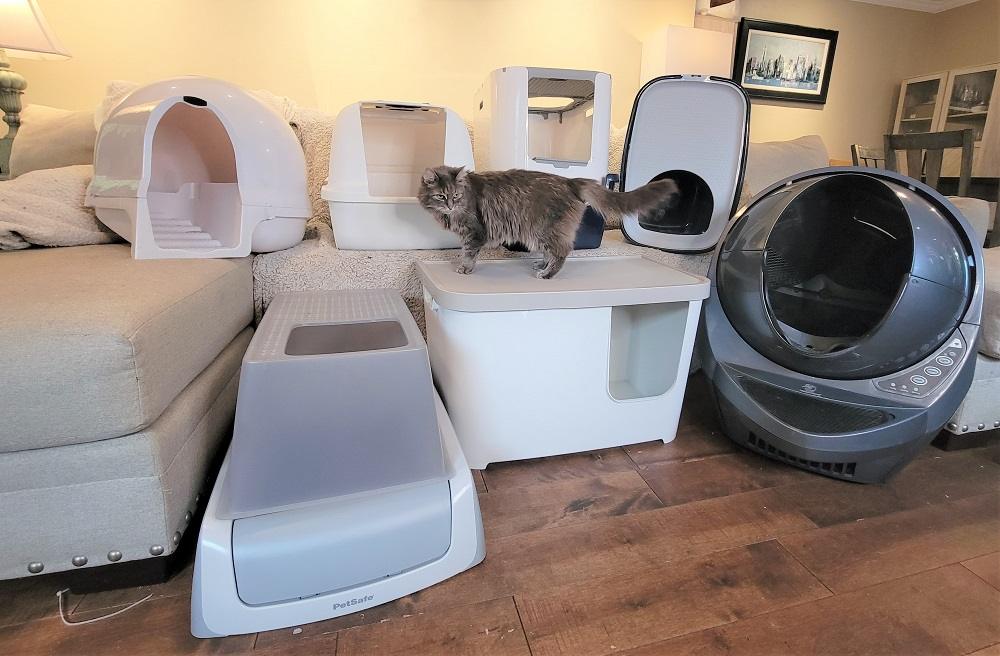 Best Dog-Proof Cat Litter Boxes featured image