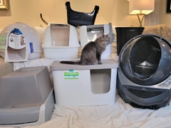 Best Dog-Proof Cat Litter Boxes