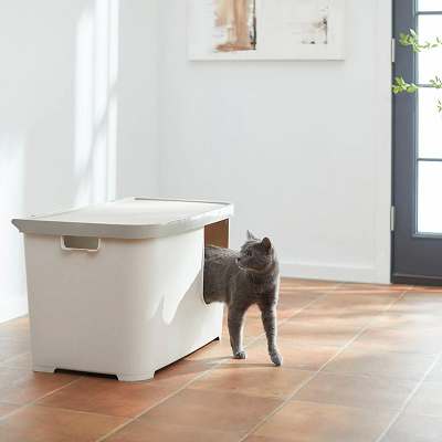 Dog proof hot sale litter box