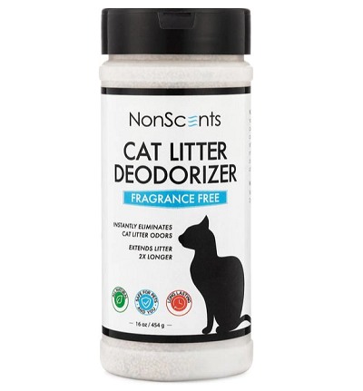 Best cat litter for cheap odor