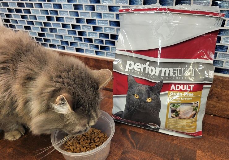 Revisión de alimentos para gatos Performatrin 2023 – Revisión imparcial