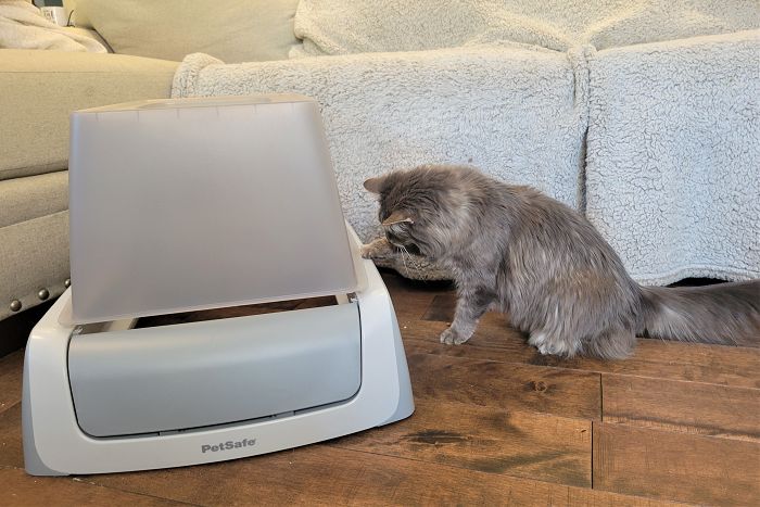 Best Self-Cleaning Litter Boxes 2023 - Tested Automatic Litter Box Review -  Forbes Vetted