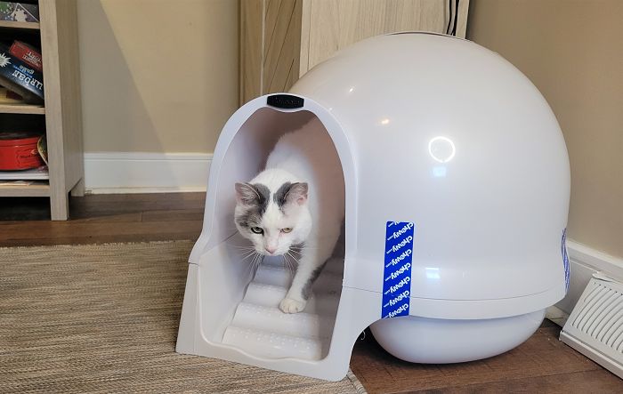Petmate Booda Dome Cleanstep Cat Litter Box