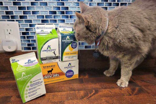 Answers Cat Food Review