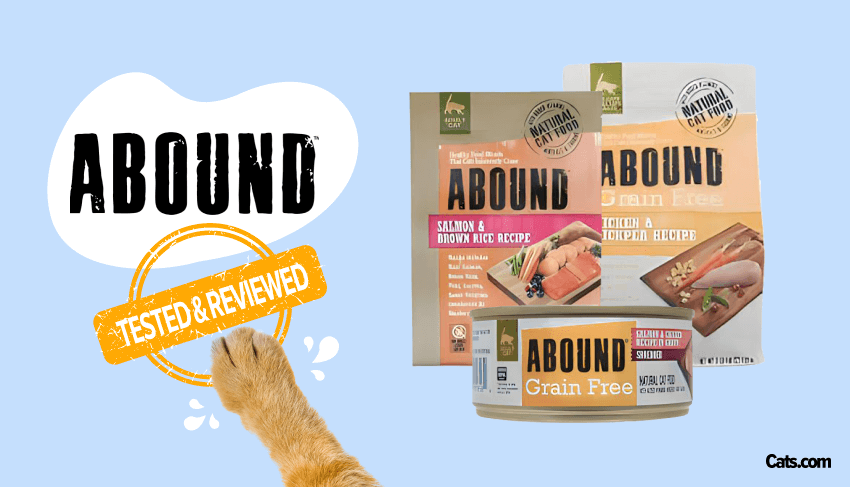 Abound Cat Food products