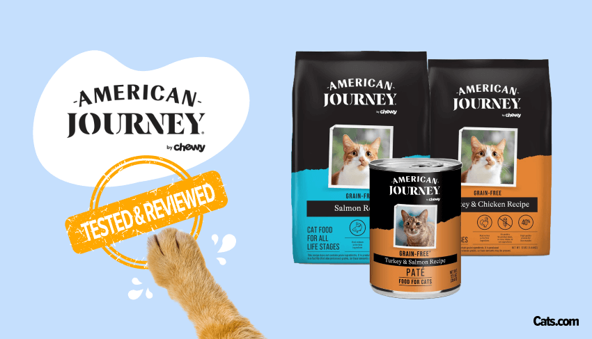 American Journey Cat Food products